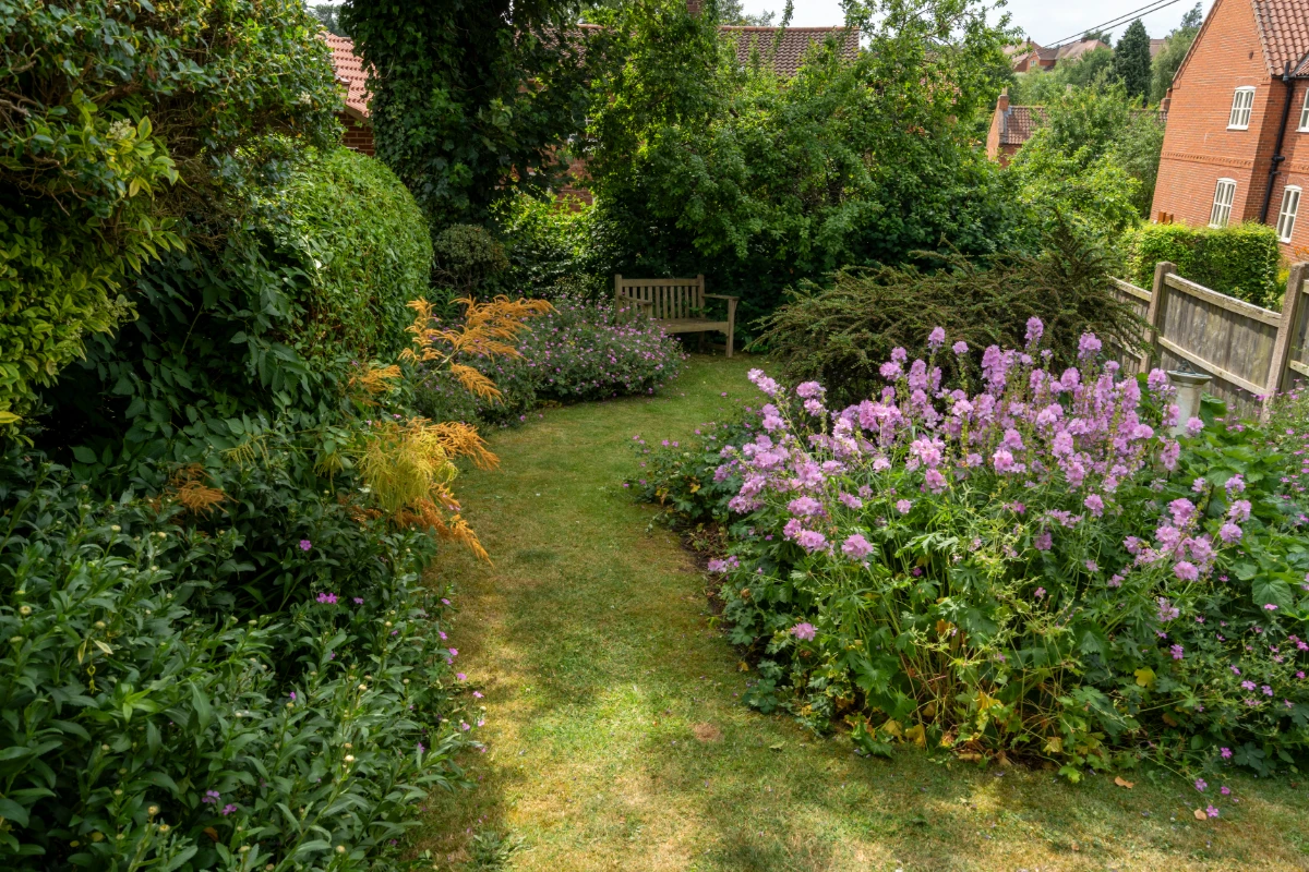 The Garden at Dickman's Cottage